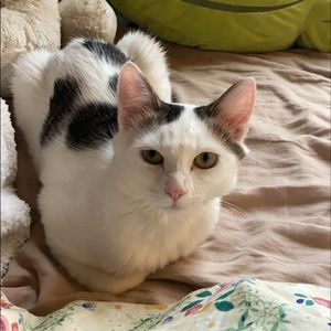 Meet your Posher, Kamila